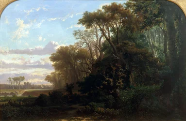 Landschaft mit Wäldern